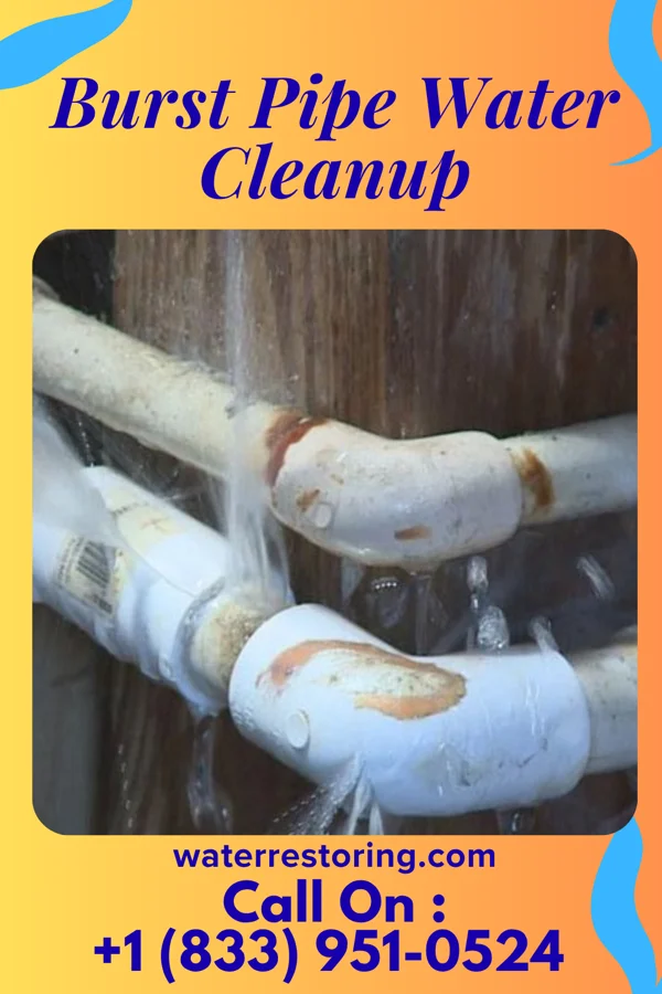 Burst Pipe Water Cleanup in Midland, PA