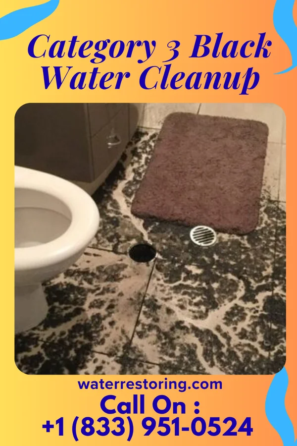 Category 3 Black Water Cleanup in Midland, PA