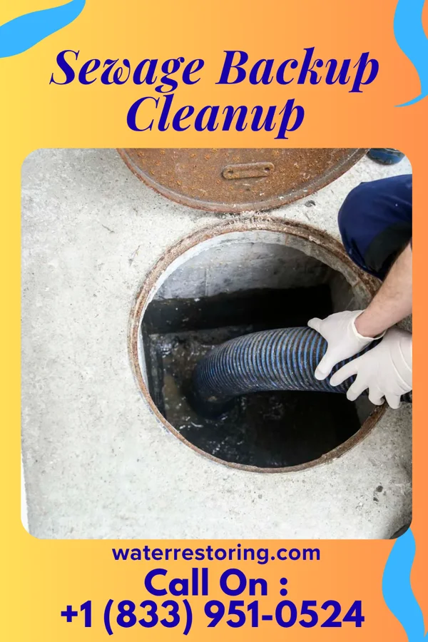 Sewage Backup Cleanup in Midland, PA